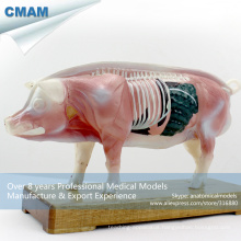 A07(12006) Plastic Veterinarian's Pig Anatomical Acupuncture Models 12006